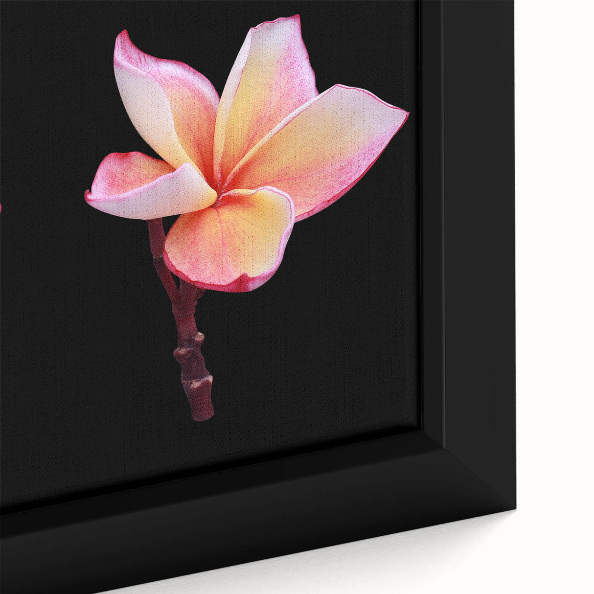 Close-up of a framed canvas showcasing a vibrant dogwood flower design, featuring intricate details and rich colors, perfect for botanical art enthusiasts.