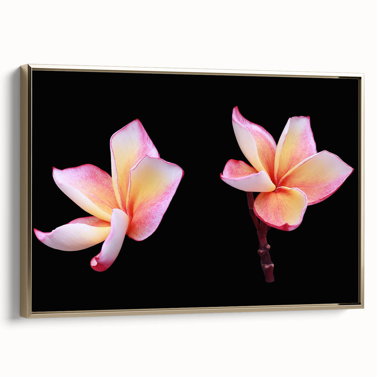 Framed canvas wall art showcasing a delicate dogwood flower botanical design in gold tones, adding a touch of elegance to home decor with its intricate details and stylish presentation.
