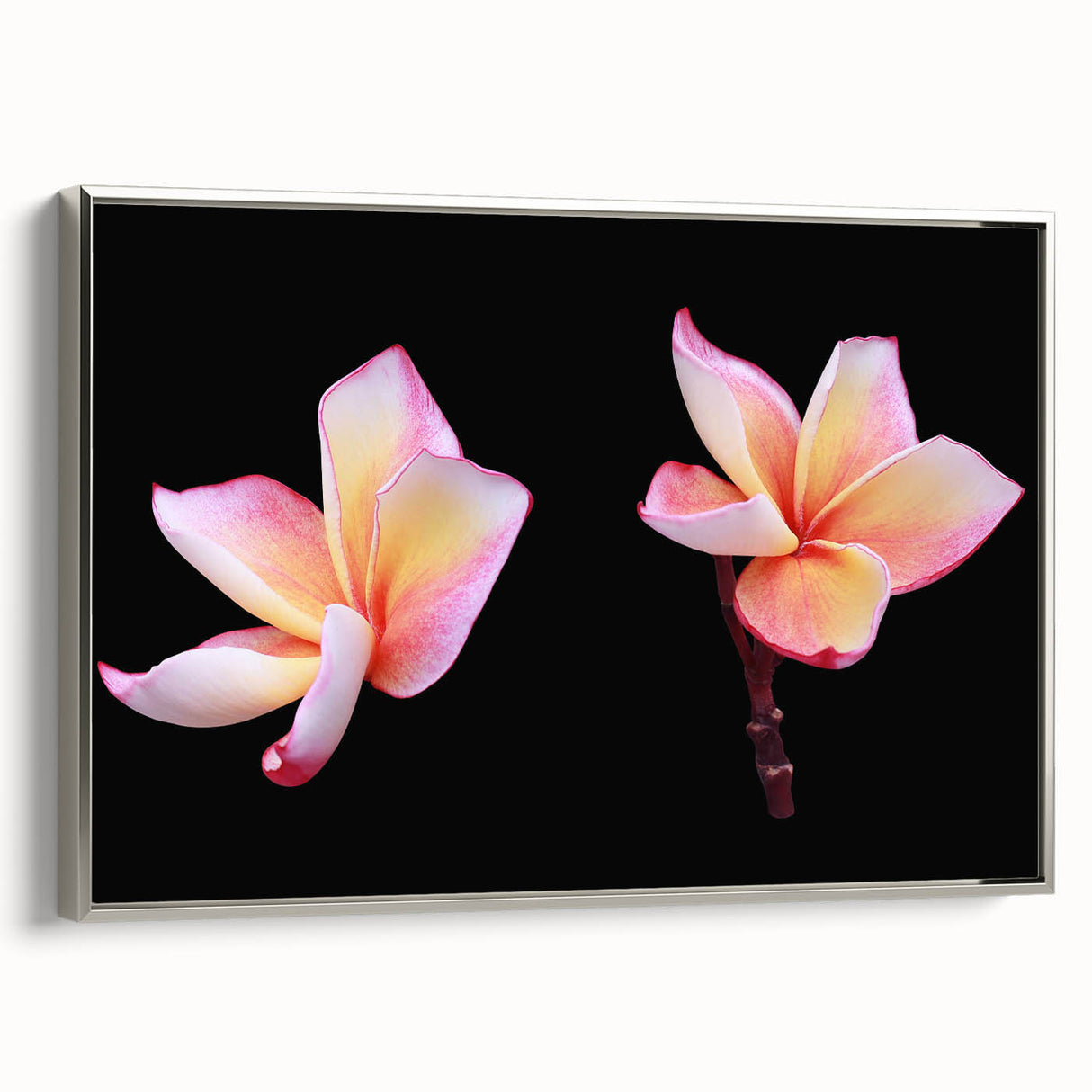 Framed botanical wall art showcasing a silver dogwood design, elegantly displayed in a side view with a textured canvas, perfect for home decor enhancement.