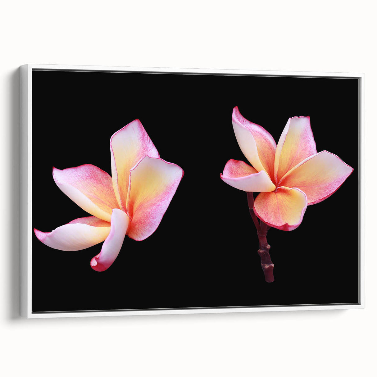 Framed canvas wall art featuring a botanical dogwood design in soft white and green hues, showcasing intricate floral details and elegant framing for home decor.