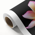 Botanical wall art featuring a delicate dogwood flower design on rolled canvas, showcasing soft pink and white hues, ideal for home decor.