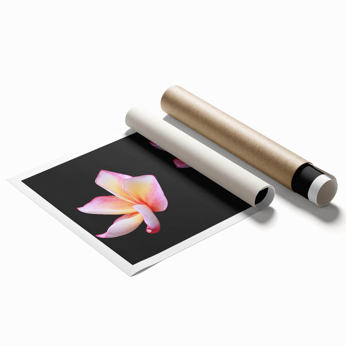 Botanical wall art print showcasing a delicate dogwood flower design in soft pastel colors, ideal for home decor or nature-inspired interiors.