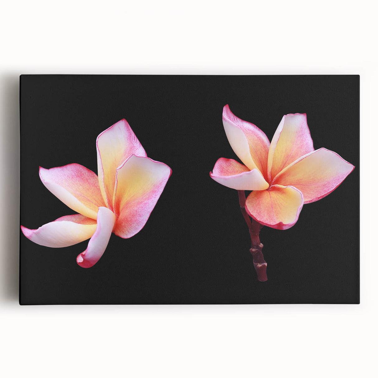 Stretched canvas wall art showcasing a vibrant dogwood floral design with intricate details and soft colors, perfect for adding elegance to any room.