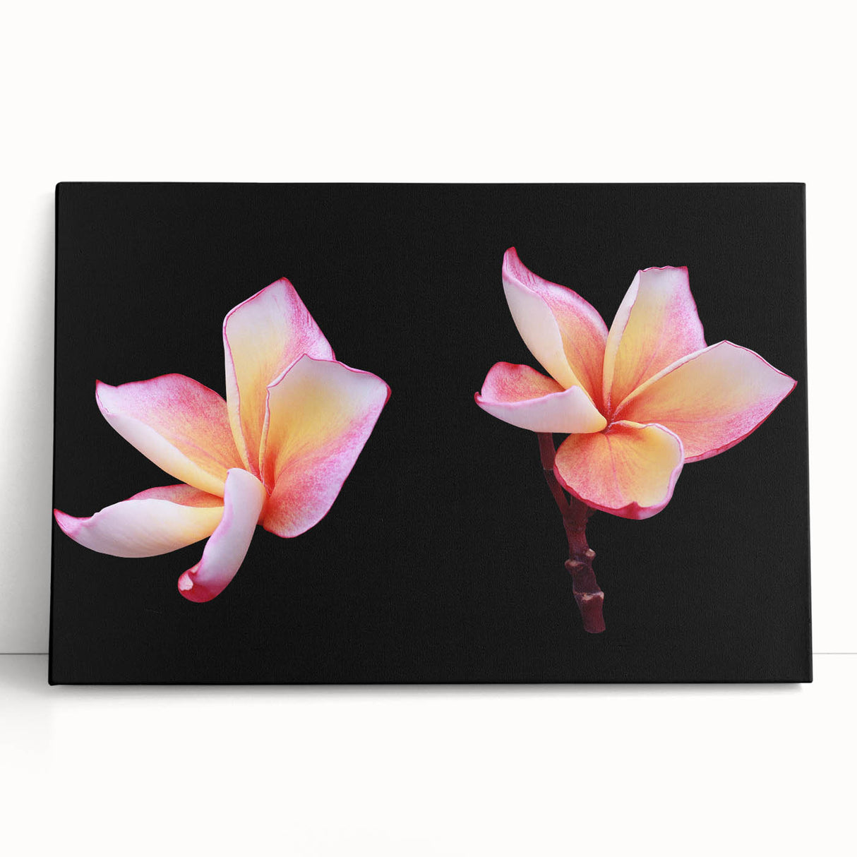 Botanical wall art featuring a delicate dogwood flower design on stretched canvas, elegantly leaning against a neutral backdrop, perfect for home decor enhancement.