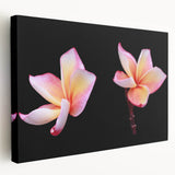 Stretched canvas wall art showcasing a botanical dogwood design with vibrant colors, elegantly framed for home decor, highlighting nature's beauty and serenity.