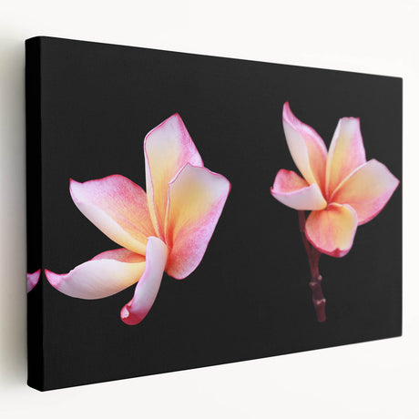Stretched canvas wall art showcasing a botanical dogwood design with vibrant colors, elegantly framed for home decor, highlighting nature's beauty and serenity.