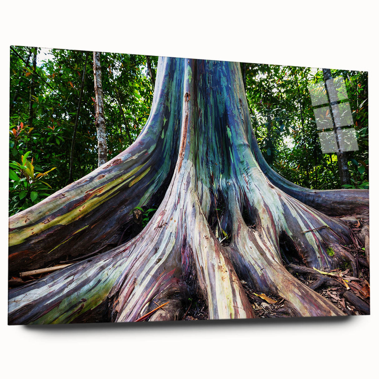Eucalyptus botanical wall art design displayed in an acrylic frame, showcasing soft green tones and elegant foliage, perfect for modern home decor.