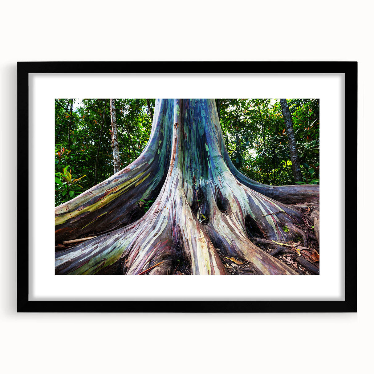 Eucalyptus botanical wall art in a sleek black frame with matting, showcasing delicate green leaves against a white background, perfect for modern home decor.