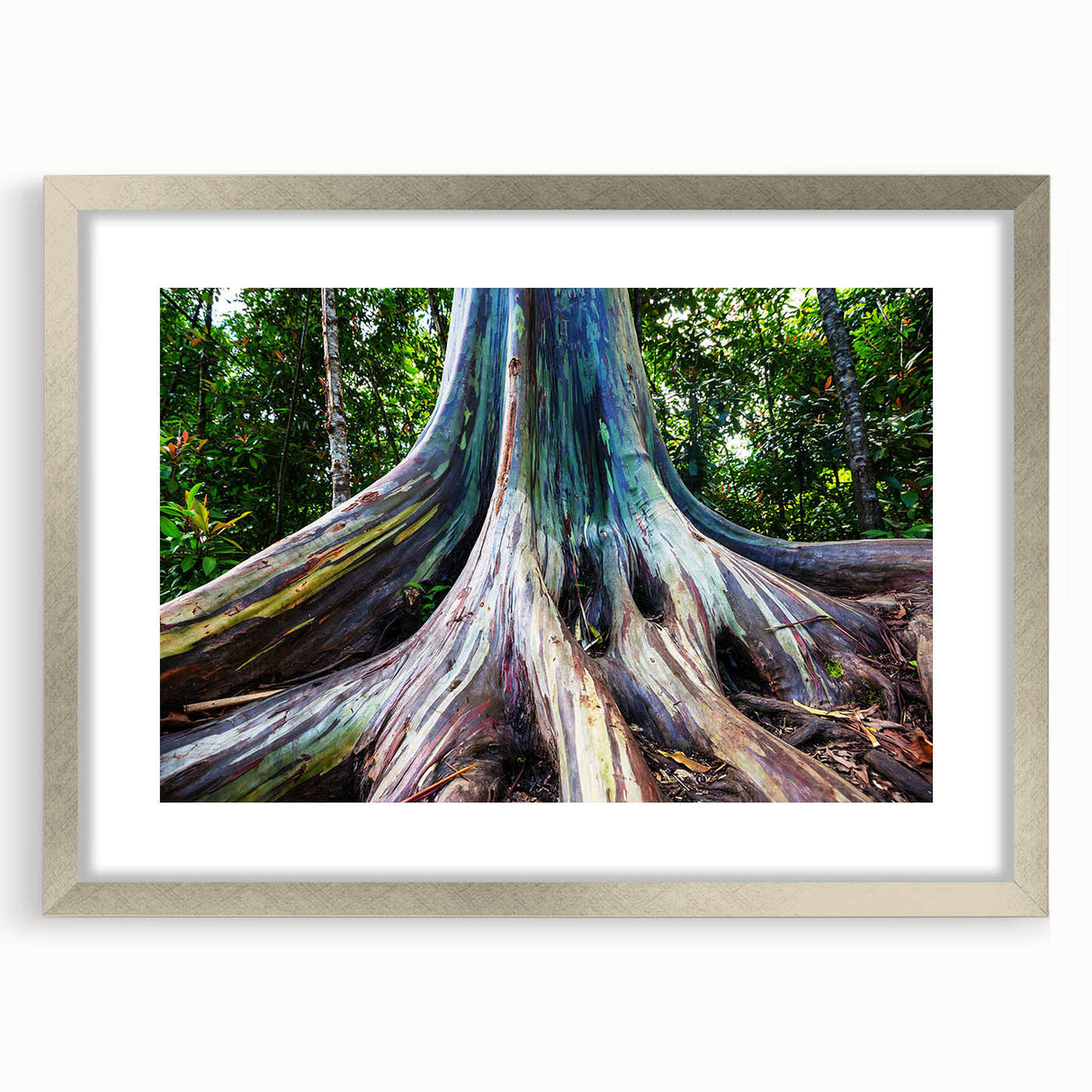 Botanical wall art featuring a silver-framed eucalyptus design with a white mat, showcasing delicate green leaves on a soft background, ideal for home decor.
