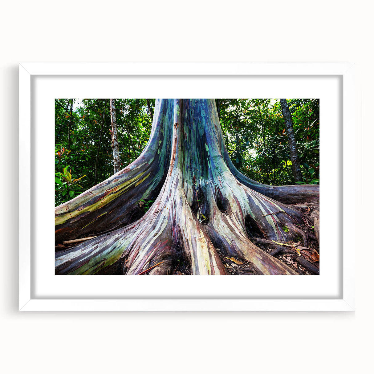 Eucalyptus botanical wall art in a white frame with mat, showcasing delicate green leaves and a minimalist design, perfect for modern decor.