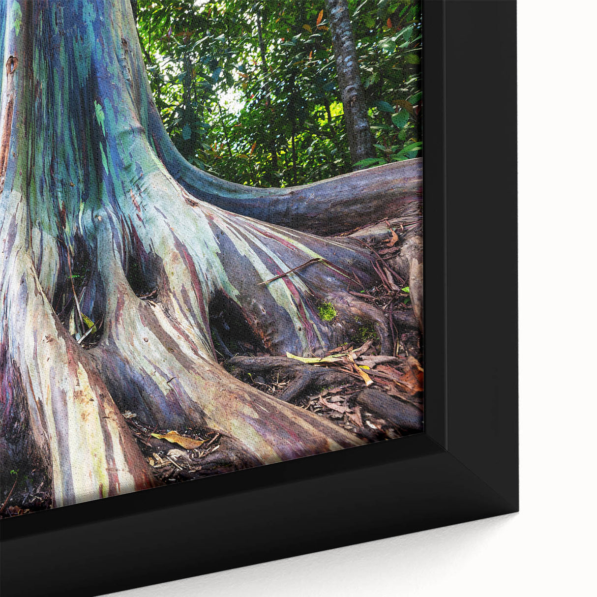 Close-up of a beautifully framed botanical wall art piece featuring eucalyptus leaves on a textured canvas, perfect for home decor and nature enthusiasts. Ideal for adding a touch of elegance to any room.