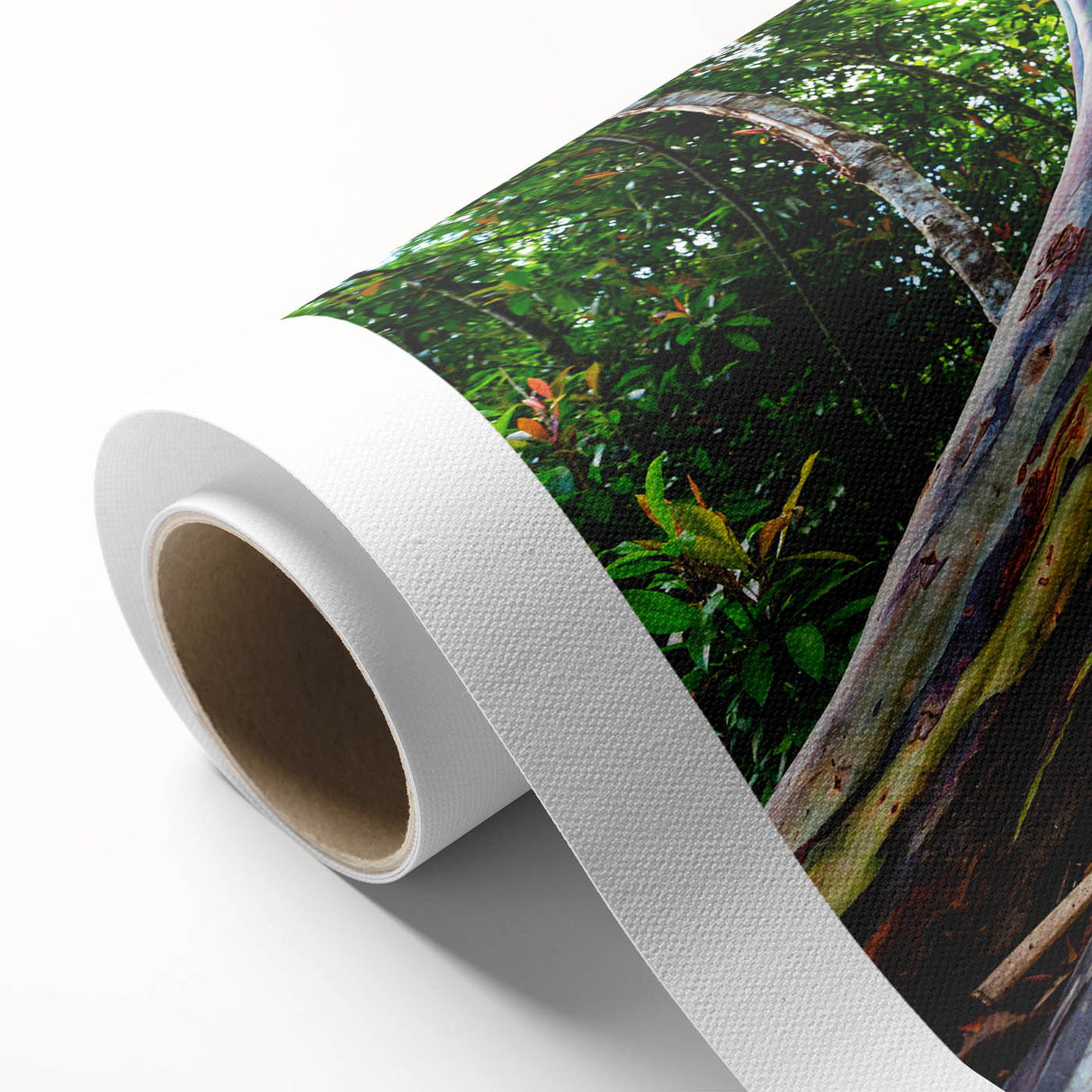 Rolled canvas artwork showcasing a botanical eucalyptus design, featuring lush green foliage against a neutral background, ideal for home decor.