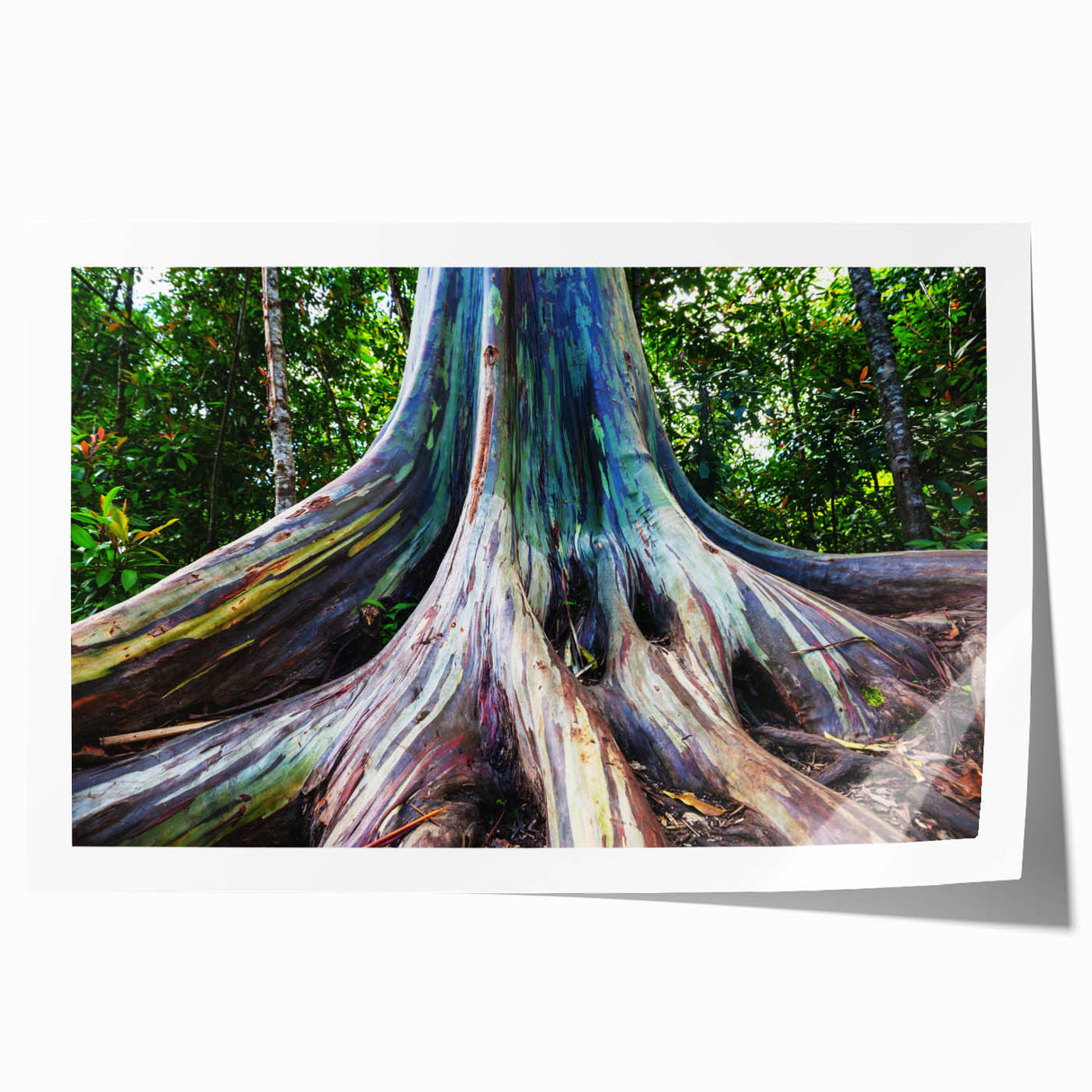 Elegant botanical wall art print featuring a detailed eucalyptus design, showcasing soft green hues on textured paper, ideal for home decor and nature lovers.