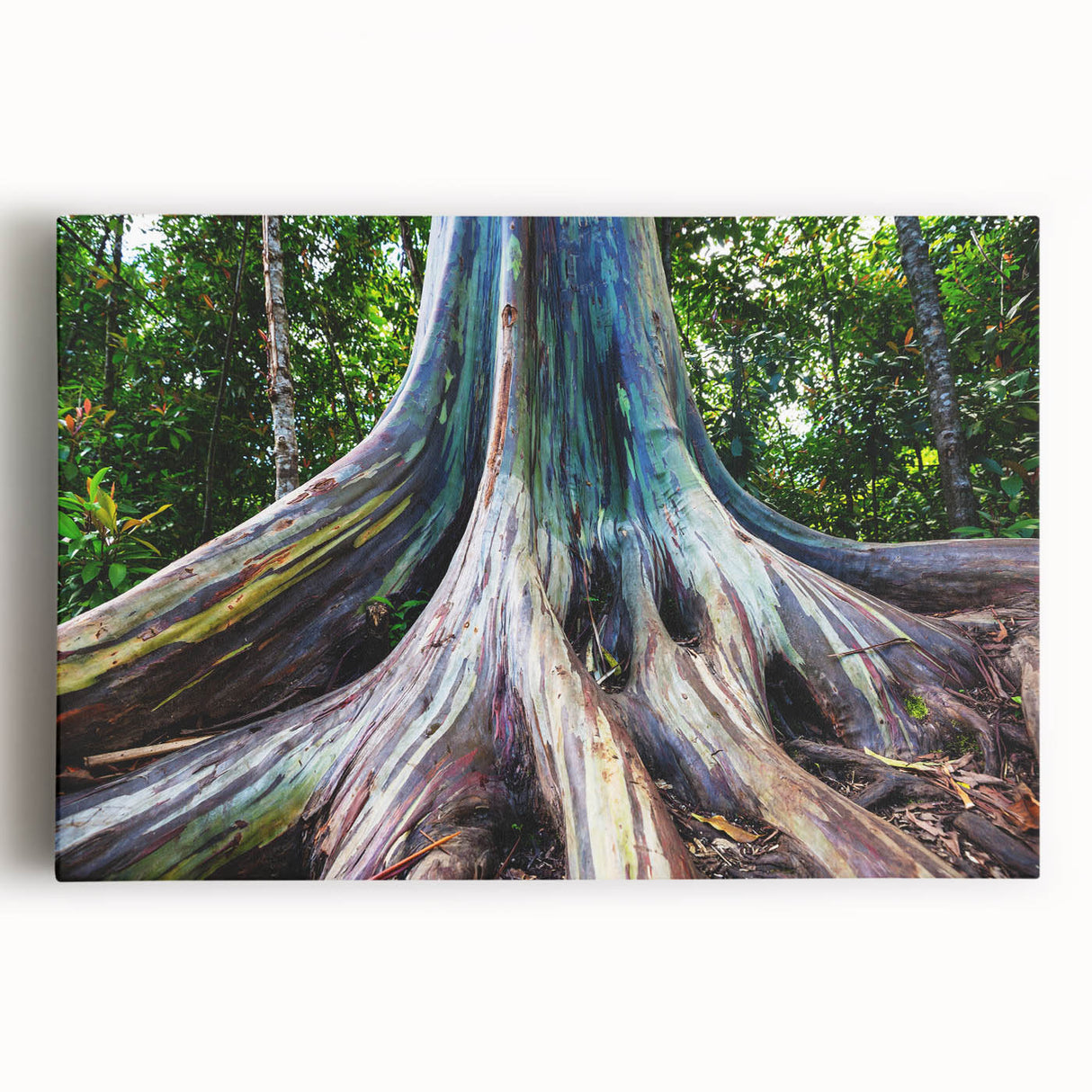 Botanical wall art featuring a vibrant eucalyptus design on stretched canvas, showcasing delicate green leaves against a neutral background, perfect for home decor.