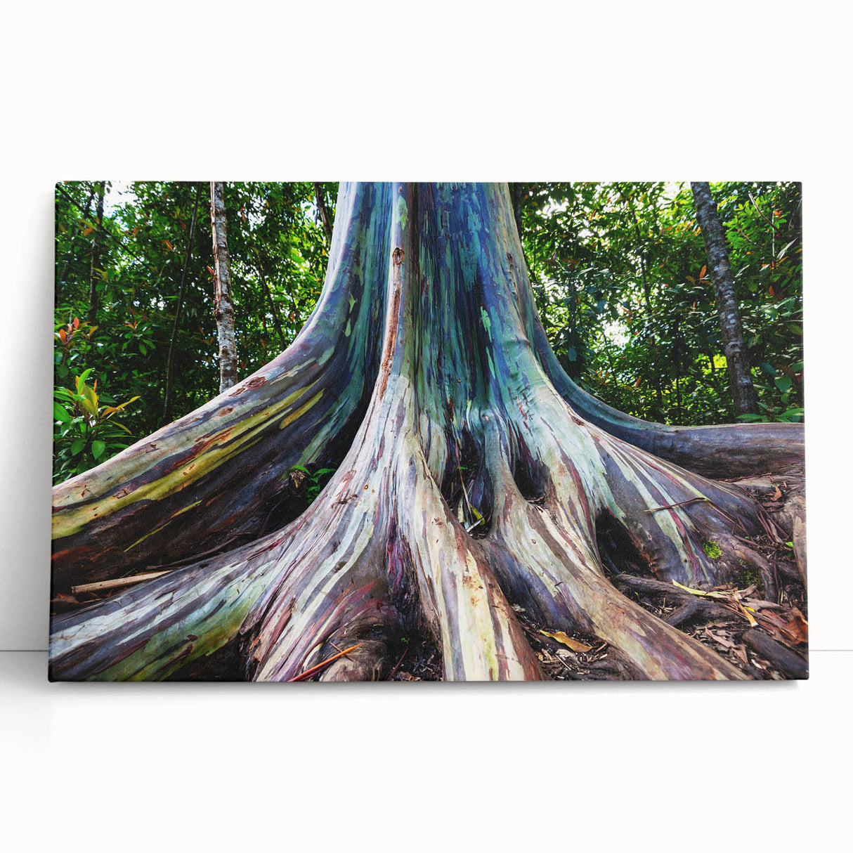 Eucalyptus botanical wall art design on stretched canvas, showcasing soft green tones and intricate leaf details, ideal for modern home decor.