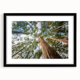 Framed botanical wall art featuring an elegant eucalyptus design in soft green and beige tones, set in a sleek black frame with a mat for a modern touch, perfect for home decor.