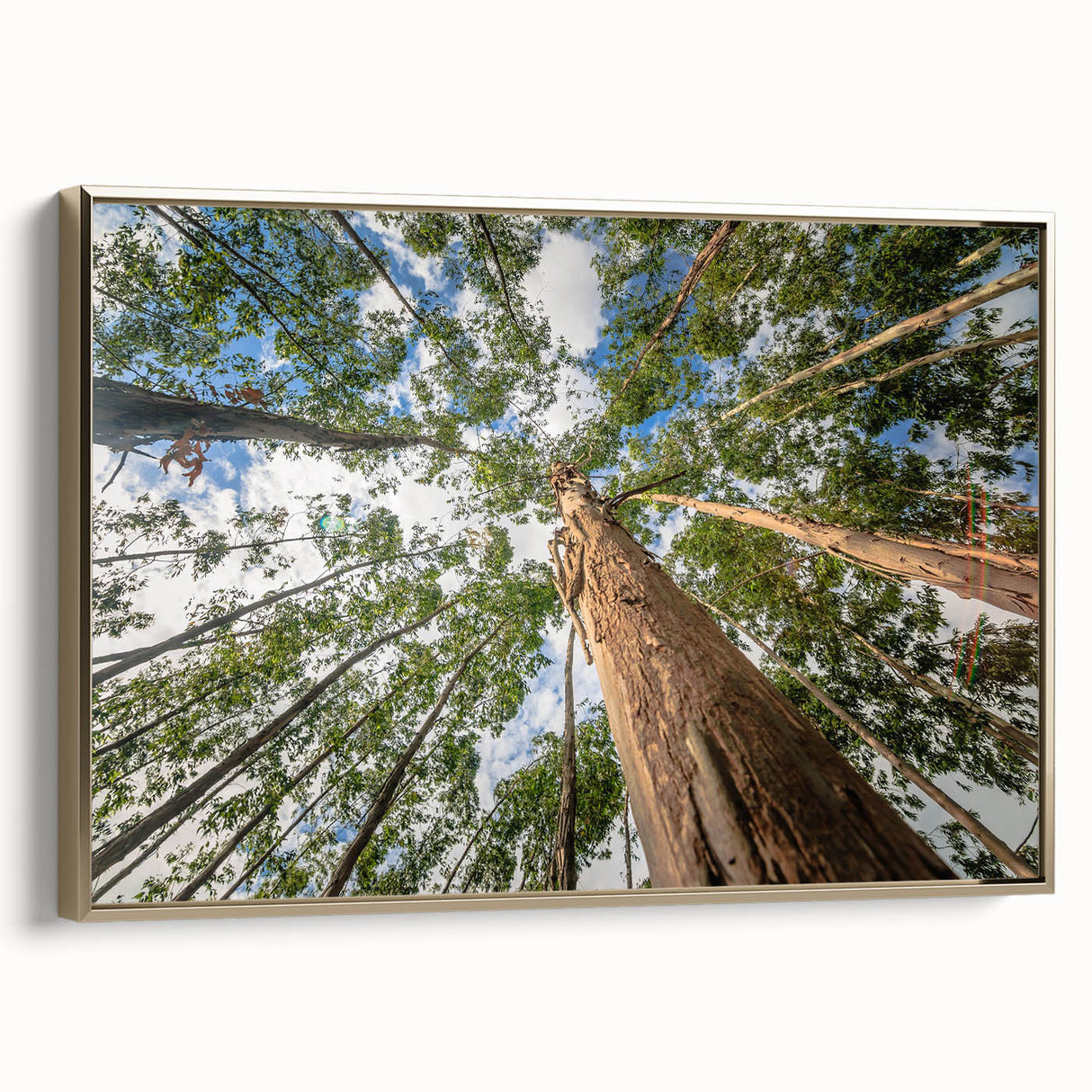 Framed botanical wall art featuring a delicate eucalyptus design, elegantly presented with a gold frame, enhancing any modern decor. Ideal for nature lovers.