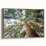 Framed botanical wall art featuring a delicate eucalyptus design, elegantly presented with a gold frame, enhancing any modern decor. Ideal for nature lovers.