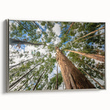 Framed wall art featuring a botanical design of eucalyptus leaves in shades of green and gray, displayed with a silver frame, enhancing modern decor aesthetics.