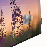 Close-up of vibrant fireweed botanical wall art design printed on acrylic glass, showcasing delicate pink flowers and green leaves, ideal for home decor.