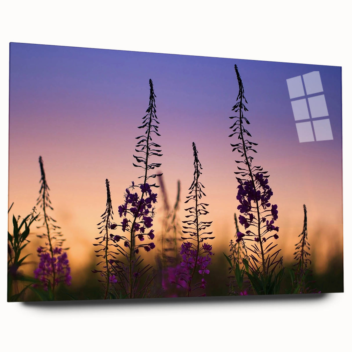 Acrylic wall art featuring a vibrant botanical design of fireweed flowers, displayed in a sleek side view, perfect for enhancing modern home decor.