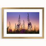 Botanical wall art featuring a vibrant fireweed design, framed in elegant gold with a mat, perfect for enhancing home decor with a touch of nature.
