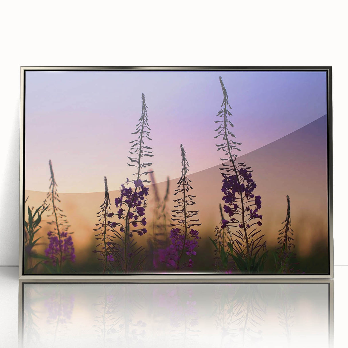 Framed wall art featuring a vibrant botanical design of fireweed flowers, elegantly displayed with a silver frame, adding a modern touch to any decor.