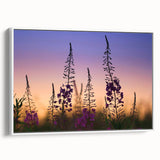 Framed botanical wall art featuring vibrant fireweed flowers on a white background, showcasing intricate details and elegant design, perfect for home decor.