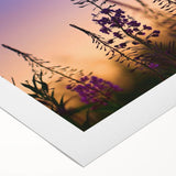 Botanical wall art design featuring vibrant fireweed flowers on a rolled canvas, showcasing rich colors and intricate details, perfect for home decor.