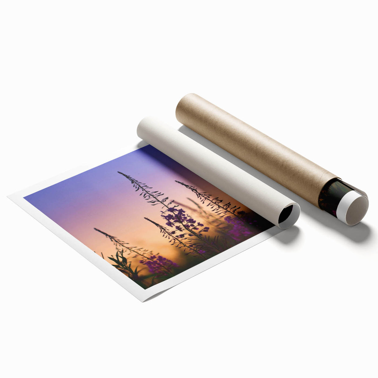 Vibrant botanical wall art print showcasing fireweed flowers in shades of pink and green, rolled for easy display and shipping in a protective tube.
