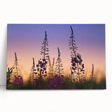 Stretched canvas wall art featuring a vibrant fireweed botanical design, showcasing rich colors and intricate details, ideal for home decor and nature enthusiasts.