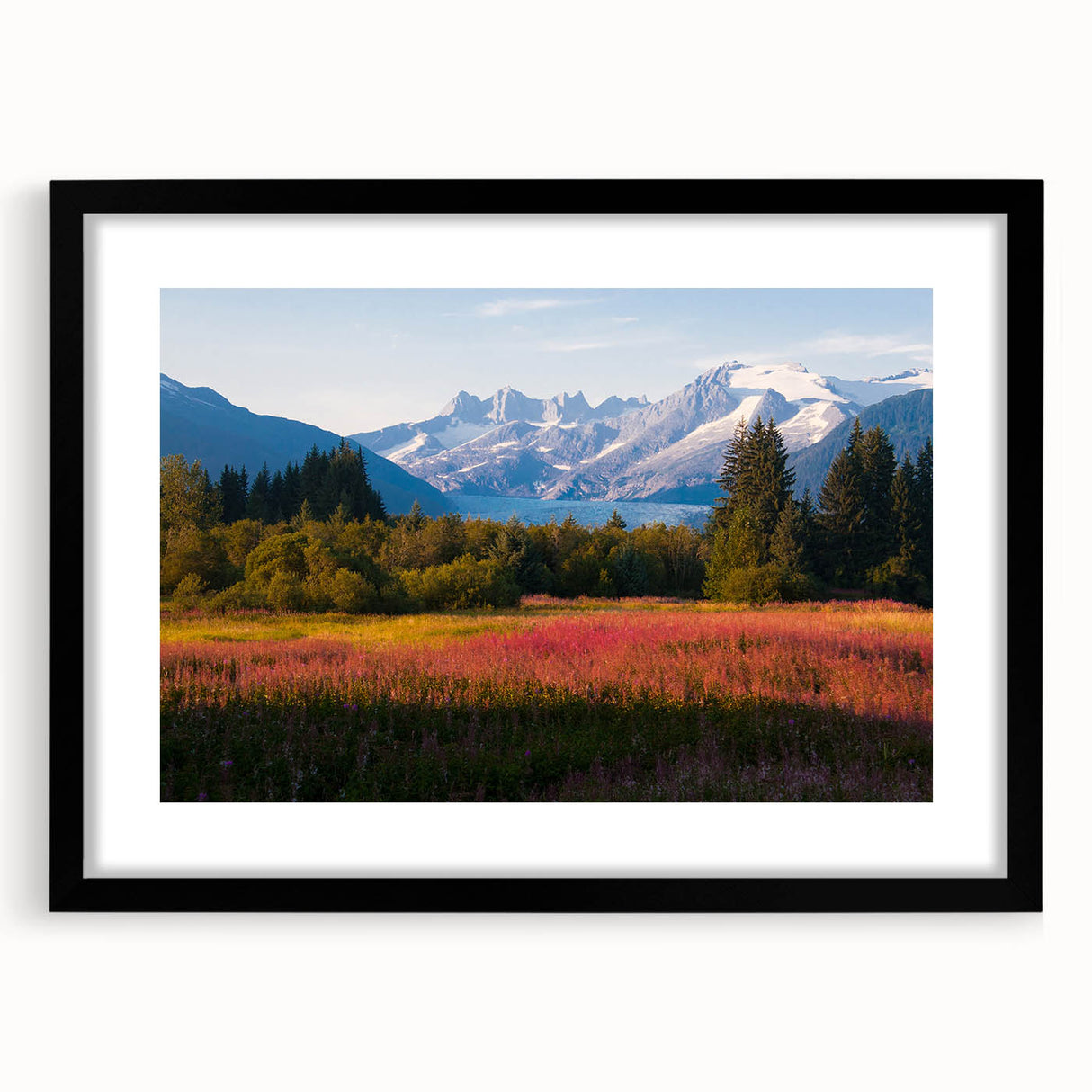 Framed botanical wall art featuring vibrant fireweed design, set in a sleek black frame with a white mat, ideal for home decor and nature enthusiasts.