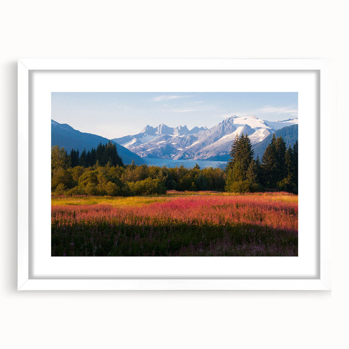 White-framed botanical wall art featuring vibrant fireweed design, elegantly displayed with a mat, perfect for enhancing home decor with a nature-inspired aesthetic.