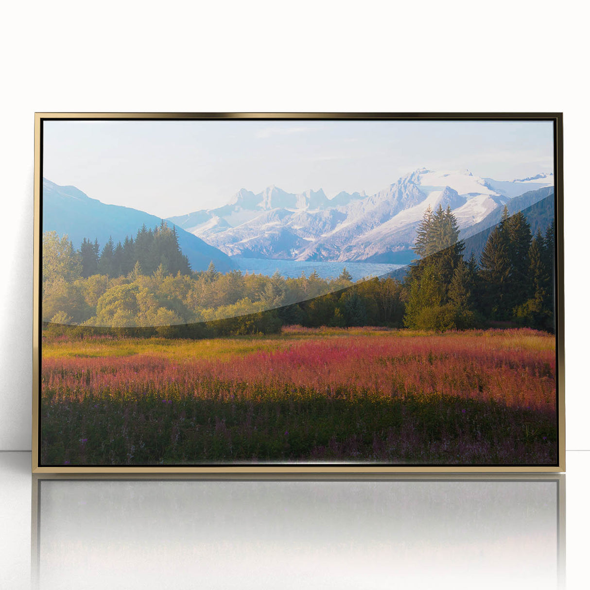 Framed acrylic wall art showcasing a vibrant fireweed botanical design with gold accents, ideal for adding color and elegance to modern home decor.