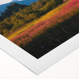 Rolled canvas artwork showcasing a vibrant botanical fireweed design, featuring intricate details in shades of pink and green, perfect for home decor or nature enthusiasts.