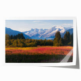 Vibrant botanical wall art print featuring delicate fireweed flowers in a colorful design, rolled for easy display, perfect for nature-inspired decor.