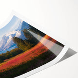 Botanical wall art print showcasing vibrant fireweed flowers in intricate detail, elegantly rolled for easy framing, perfect for home decor enthusiasts.