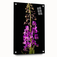 Acrylic glass wall art collection showcasing an intricate fireweed botanical design, mounted with pins for a modern display. The vibrant colors and fine details highlight the natural beauty, perfect for home decor enthusiasts.