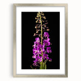 Framed botanical wall art featuring a delicate fireweed design, elegantly presented with a silver frame and mat, perfect for home decor enhancement.