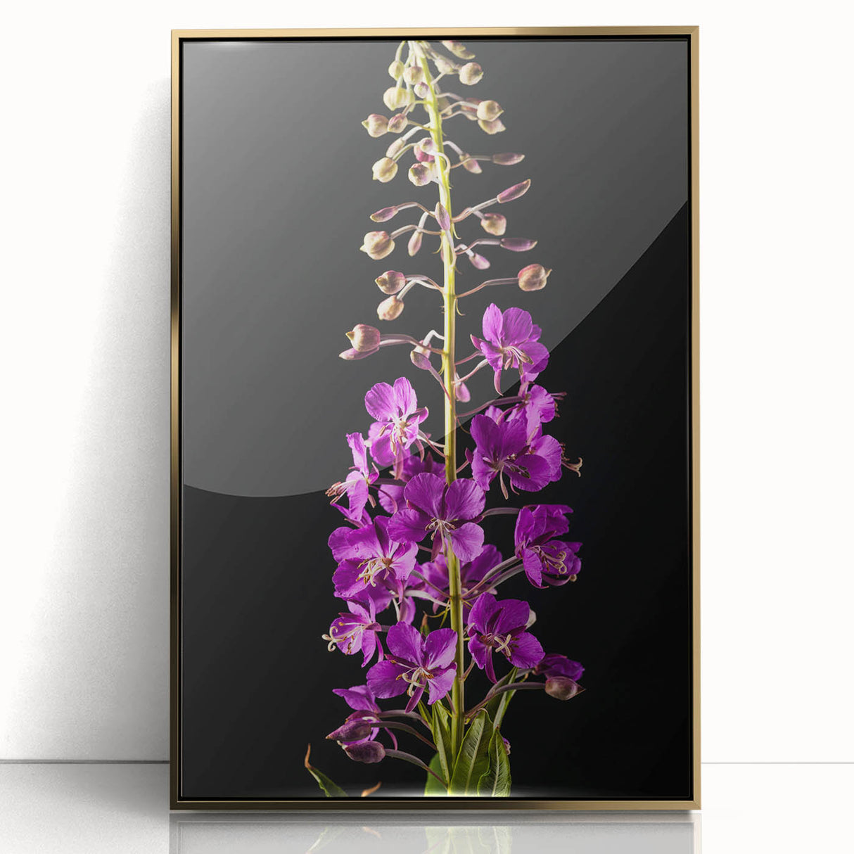 Framed acrylic wall art featuring a vibrant fireweed botanical design, showcasing delicate pink and green floral elements against a stylish gold frame, perfect for home decor.
