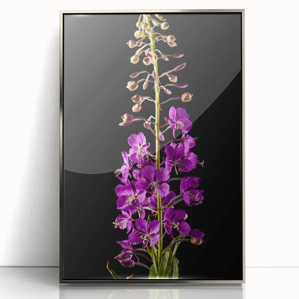 Framed wall art featuring a botanical fireweed design in vibrant colors, displayed in a sleek silver frame, perfect for enhancing modern home decor.
