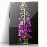 Framed wall art featuring a botanical fireweed design in vibrant colors, displayed in a sleek silver frame, perfect for enhancing modern home decor.