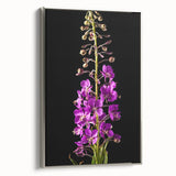 Framed botanical wall art featuring vibrant fireweed flowers on a textured canvas, set against a sleek silver frame, ideal for home décor and nature enthusiasts.