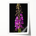 Vibrant botanical wall art showcasing delicate pink fireweed flowers against a soft green background, perfect for home decor, framed or unframed display.