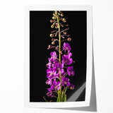 Vibrant botanical wall art showcasing delicate pink fireweed flowers against a soft green background, perfect for home decor, framed or unframed display.