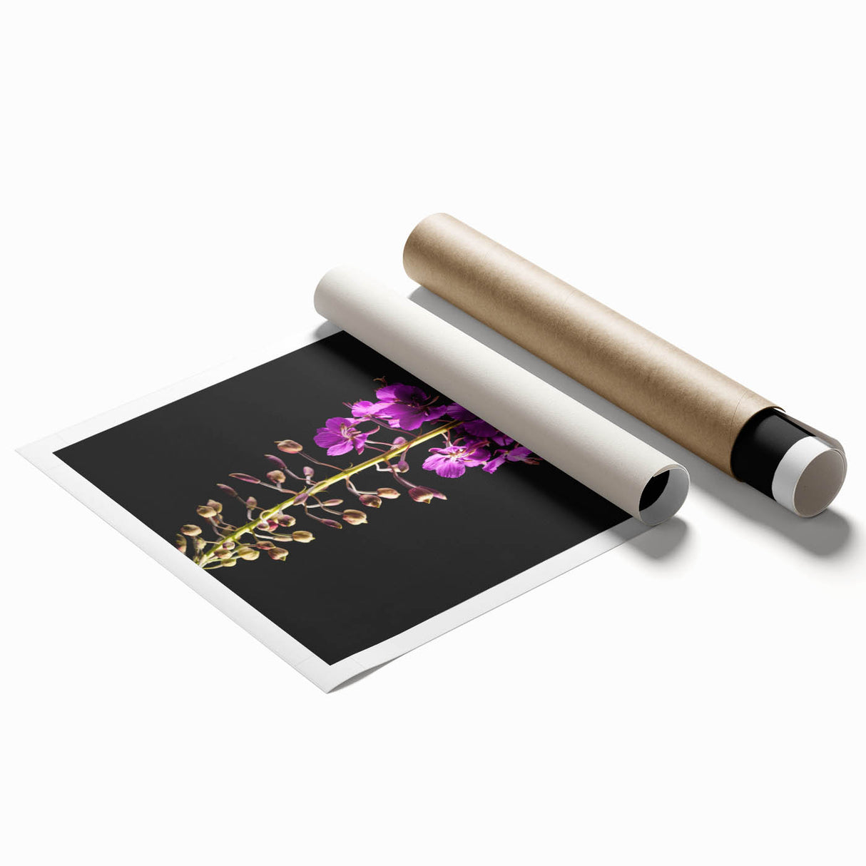 Vibrant botanical wall art print featuring delicate fireweed flowers in soft pink and green hues, rolled for easy display and shipping, perfect for home decor.