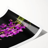 Vibrant botanical wall art featuring a detailed fireweed design, showcasing rich colors and intricate patterns, ideal for home decor and nature enthusiasts.