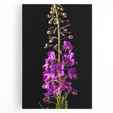 Vibrant stretched canvas wall art featuring a botanical fireweed design, showcasing rich colors and intricate floral details, perfect for home decor enhancement.