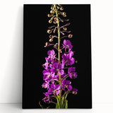 Stretched canvas wall art showcasing a vibrant fireweed botanical design, featuring rich colors and intricate details, perfect for home decor or nature enthusiasts.