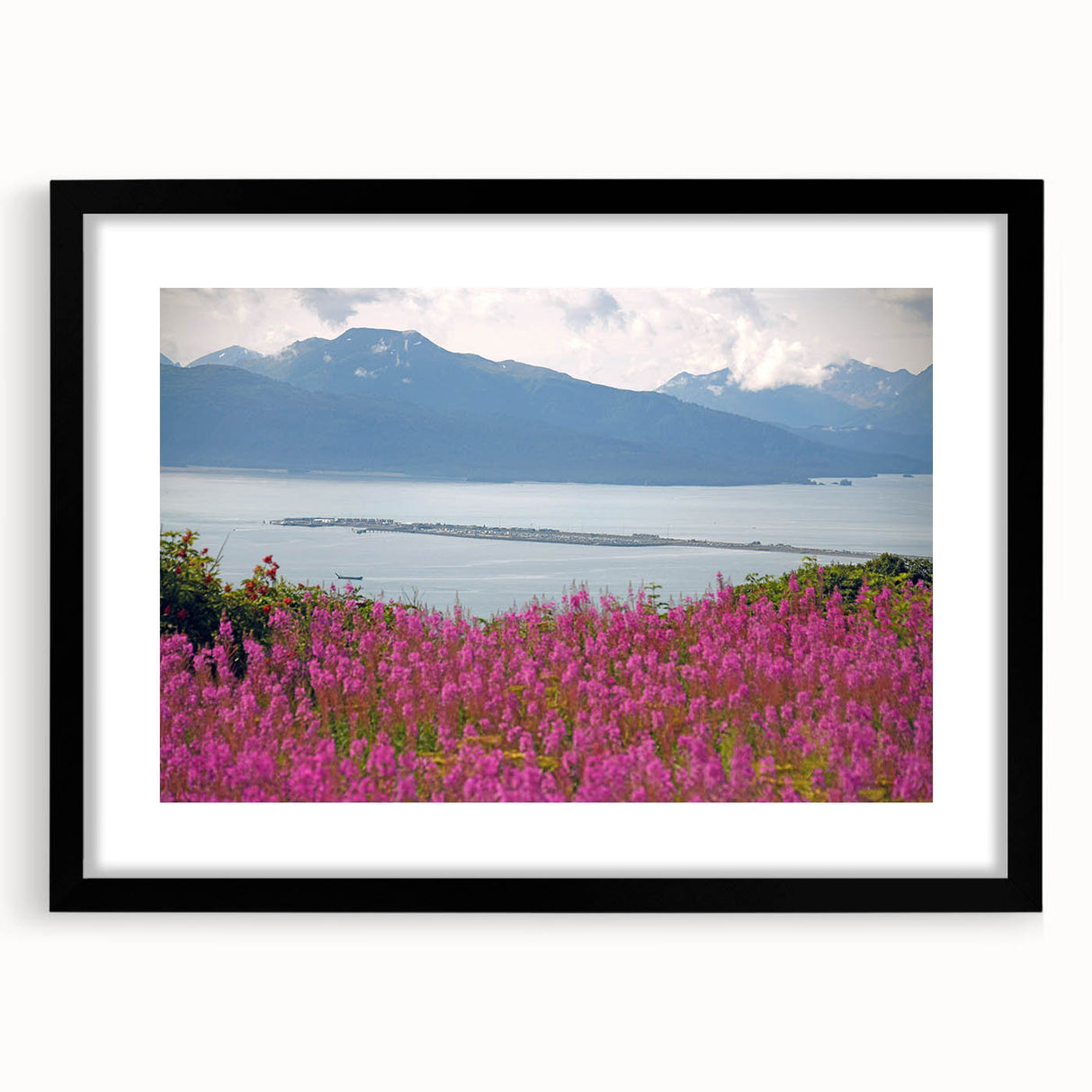 Botanical wall art featuring a vibrant fireweed design in a sleek black frame with a mat, ideal for adding a touch of nature to modern home decor.